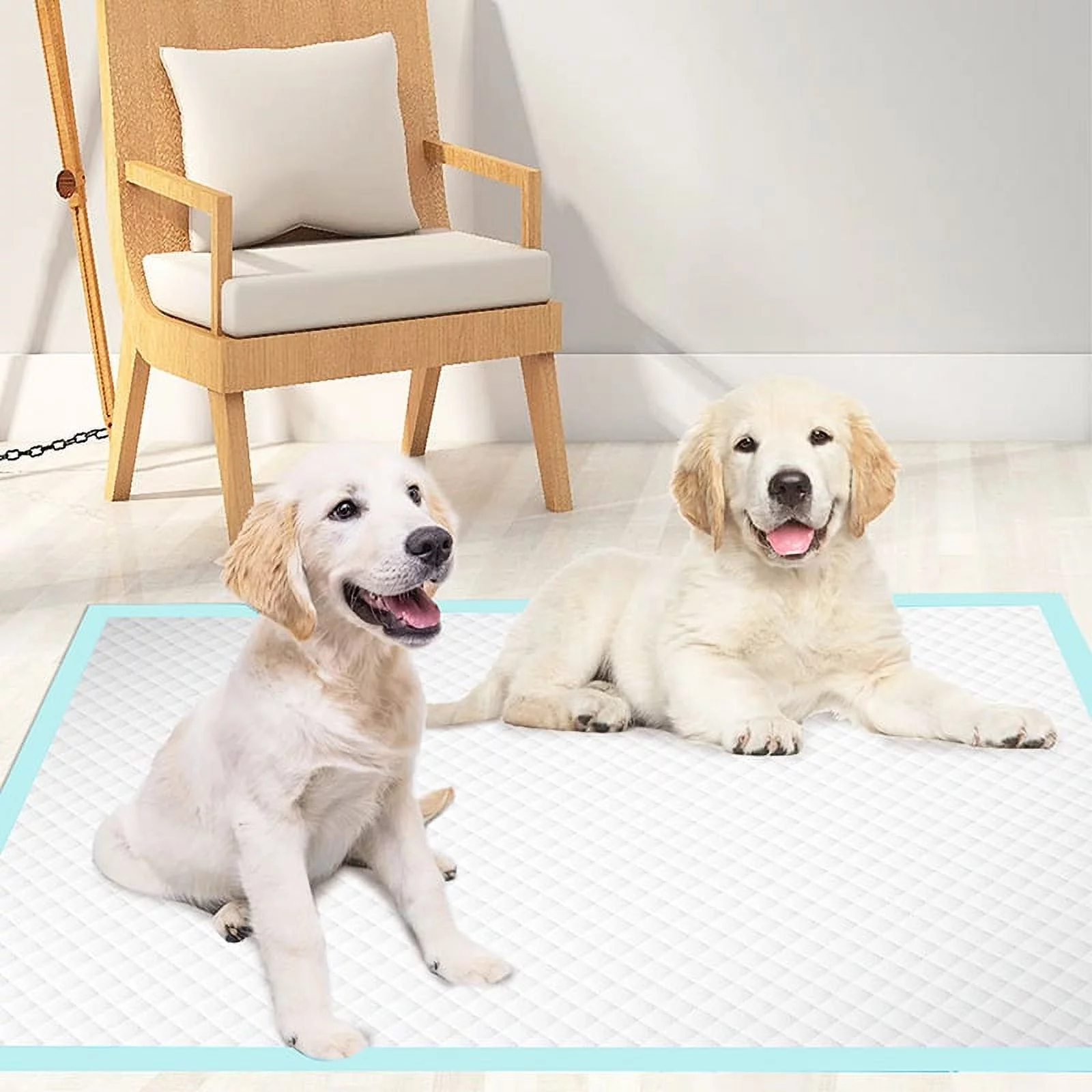Vanch Puppy Training Pads, Regular, 22 x 22 Inches, 120 Count