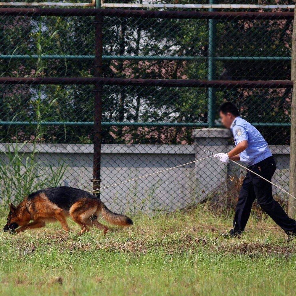 10/16/33/66ft Long Strong Dog Tracking Leash Braided Rope Large Dogs Training
