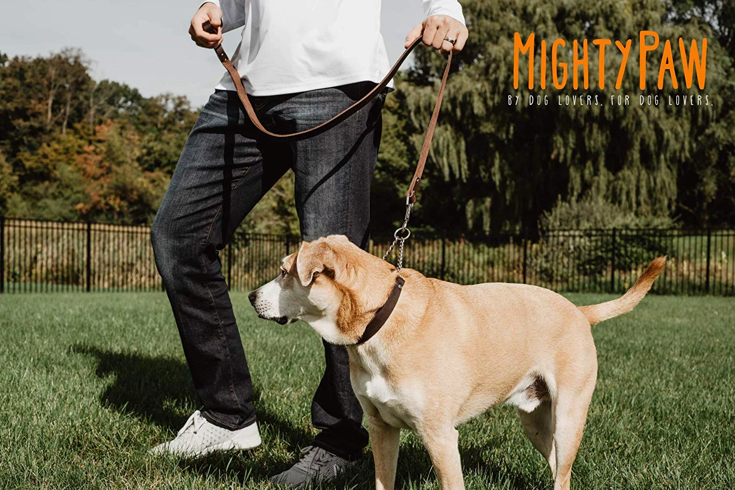 Mighty Paw Leather Training Collar, Martingale Collar, Stainless Steel Chain - Limited Chain Cinch Collar
