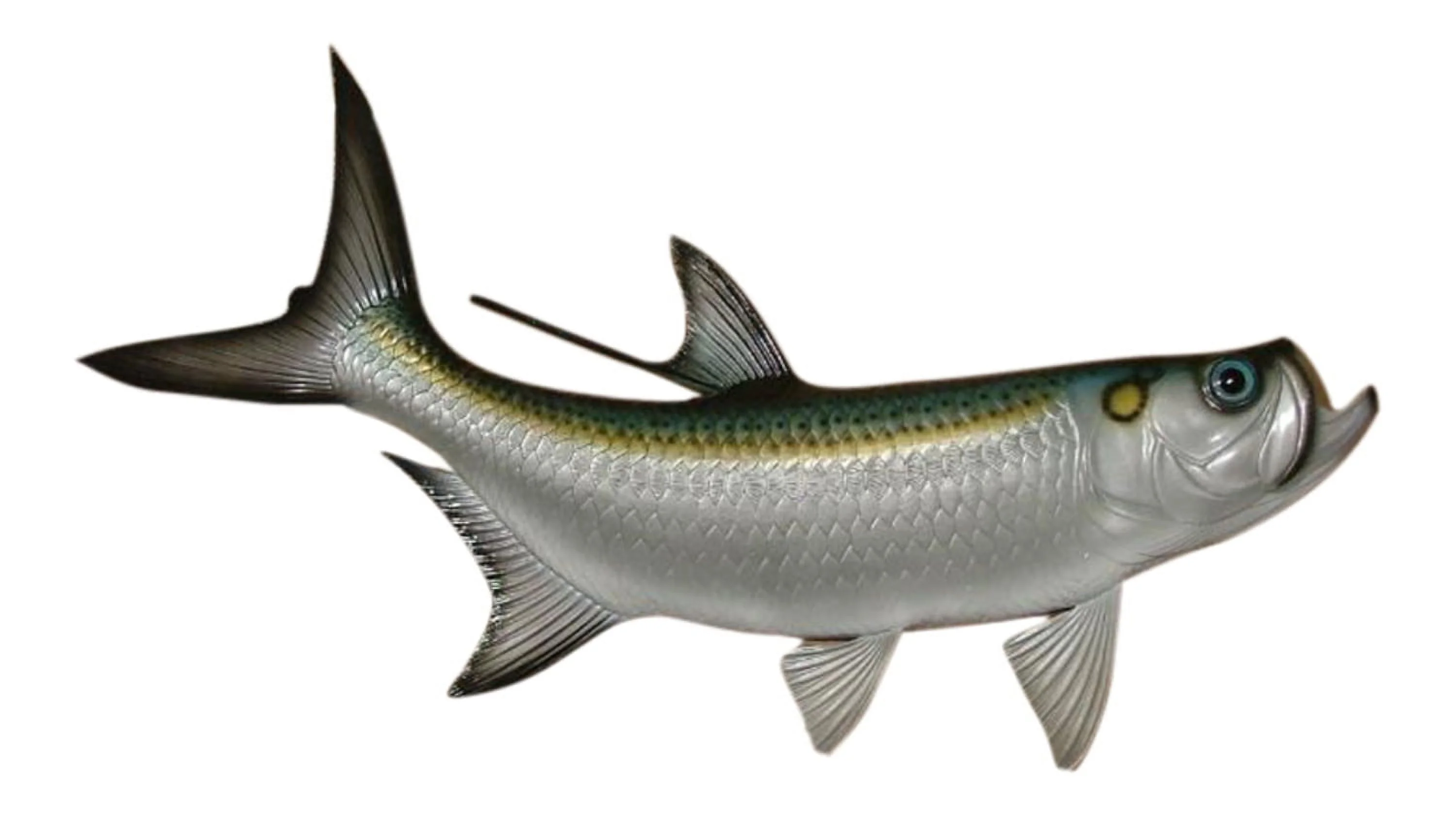 Replica Tarpon Saltwater Game Ocean Fish Wall Decor 28 inch