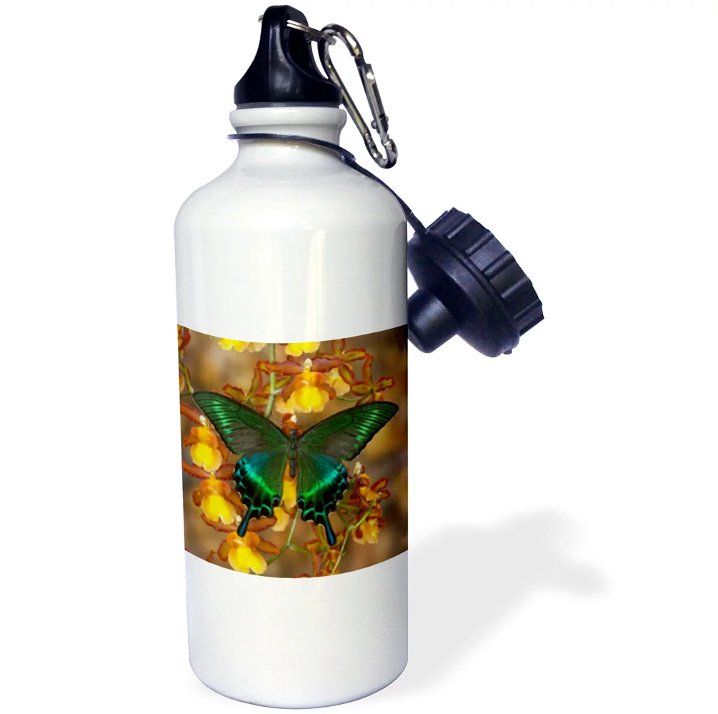3dRose Peacock Swallowtail Butterfly - Water Bottle, 21-ounce