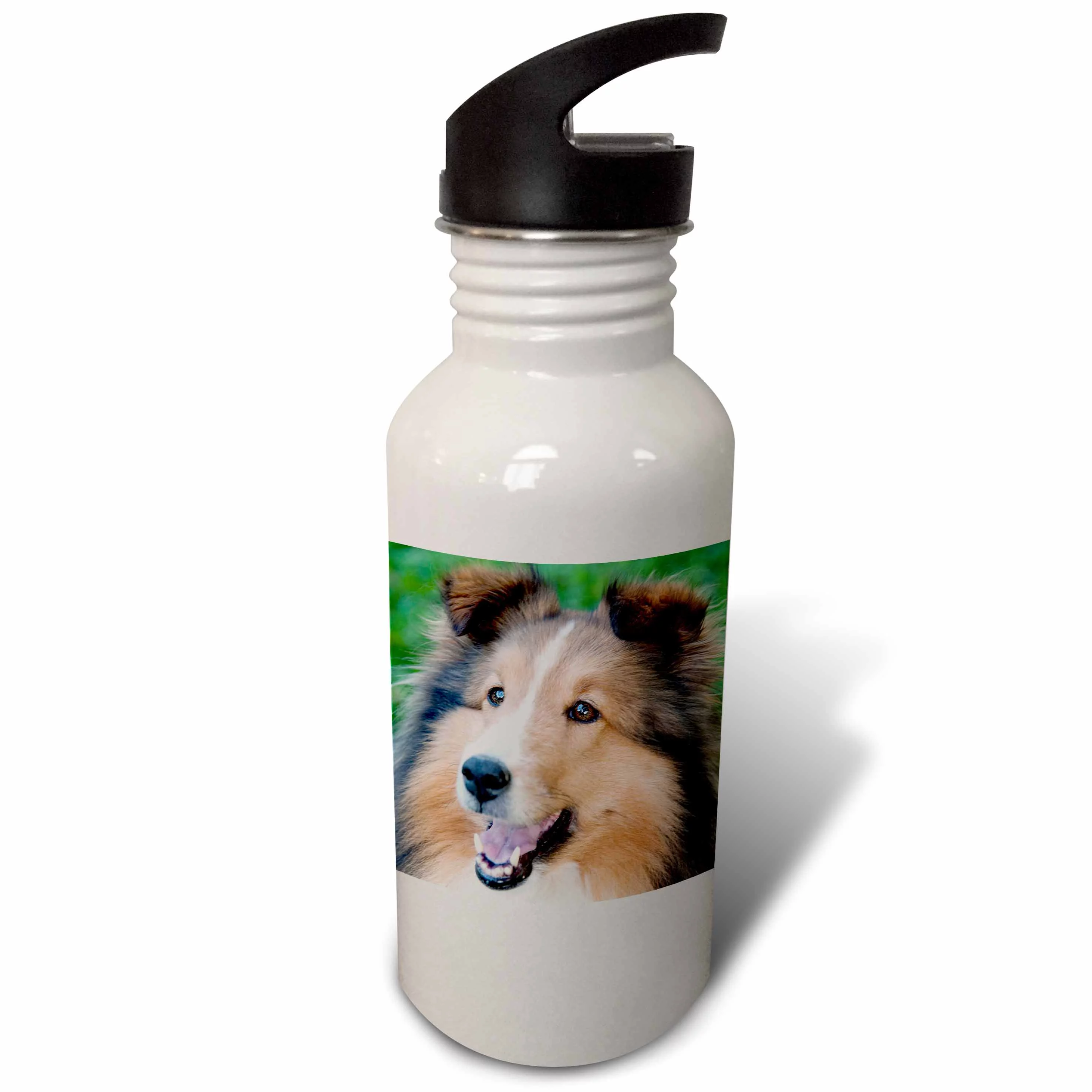 3dRose Collie Smiling, Sports Water Bottle, 21oz