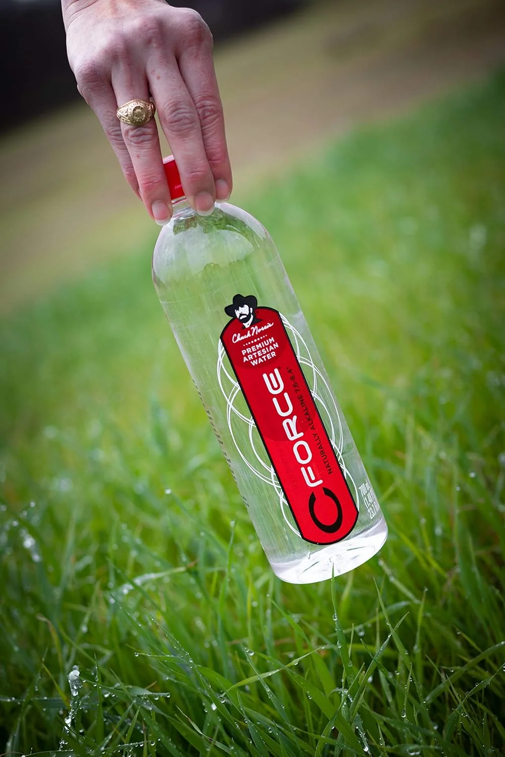 Natural Artesian Bottled Water, Naturally High Ph, 700Ml (23.7Oz), (12 CT)