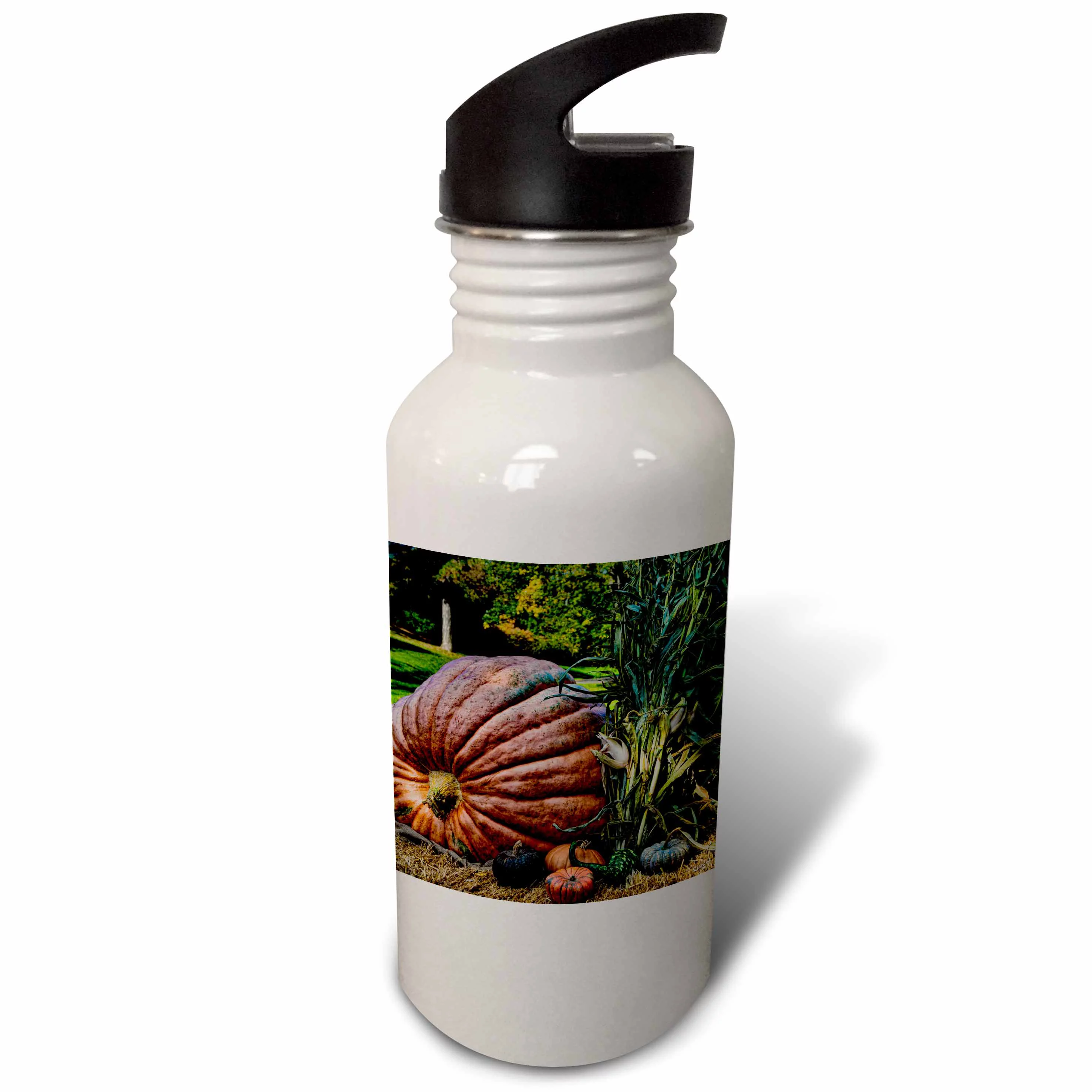 Fall Autumn Giant Pumpkin Halloween 21 oz Sports Water Bottle wb-55985-1