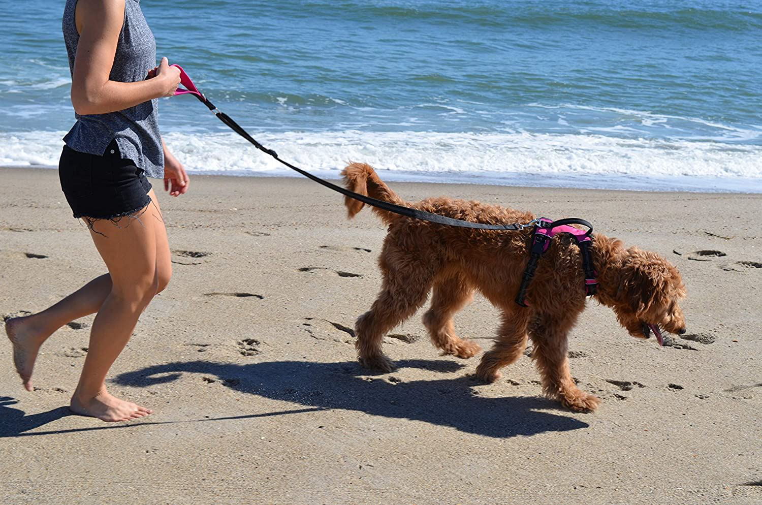 BLACK RHINO Training Dog Leash with Padded Handle Adjustable (Pink/Black)