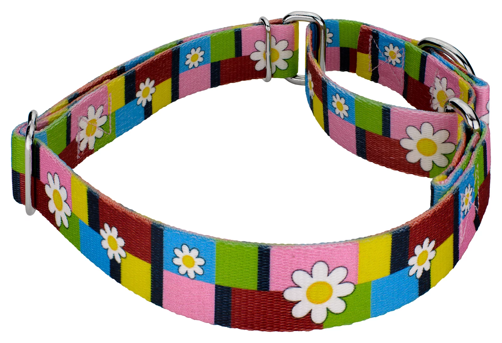 Country Brook Design® Spring Daisies Martingale Dog Collar and Leash, Mini
