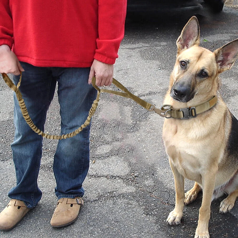 Tactical Dog Collar Leash - Nylon, Military-Style Adjustable Training & Traffic