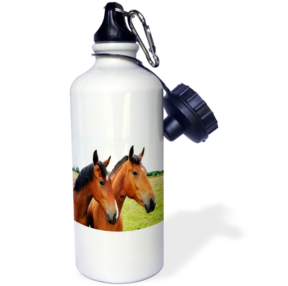 3dRose Print of Pair Of Horses Painting, Sports Water Bottle, 21oz
