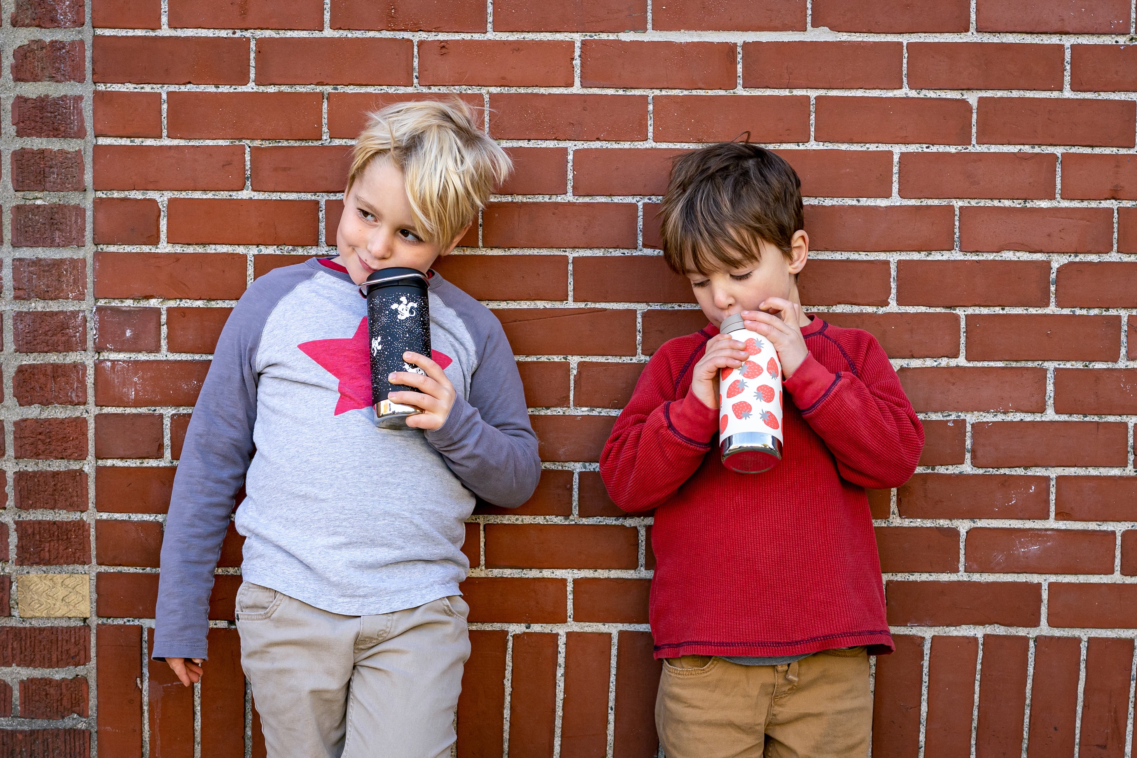 Klean Kanteen 12 fl oz Stainless Steel Insulated Water Bottle Twist Cap Strawberries