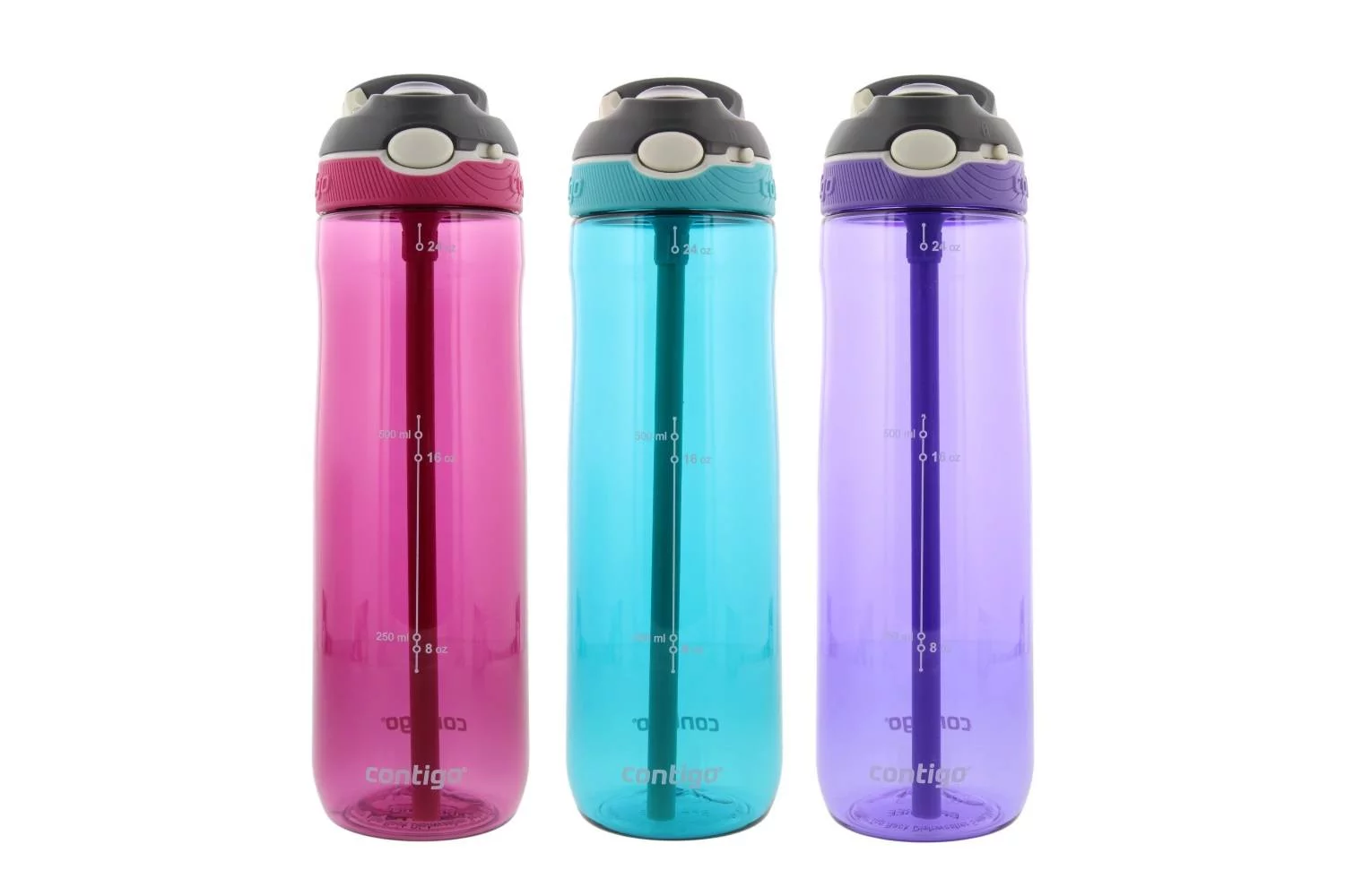 Contigo Autospout Ashland Water Bottle, 24oz - Scuba, Grapevine, Berry (3 Pack)