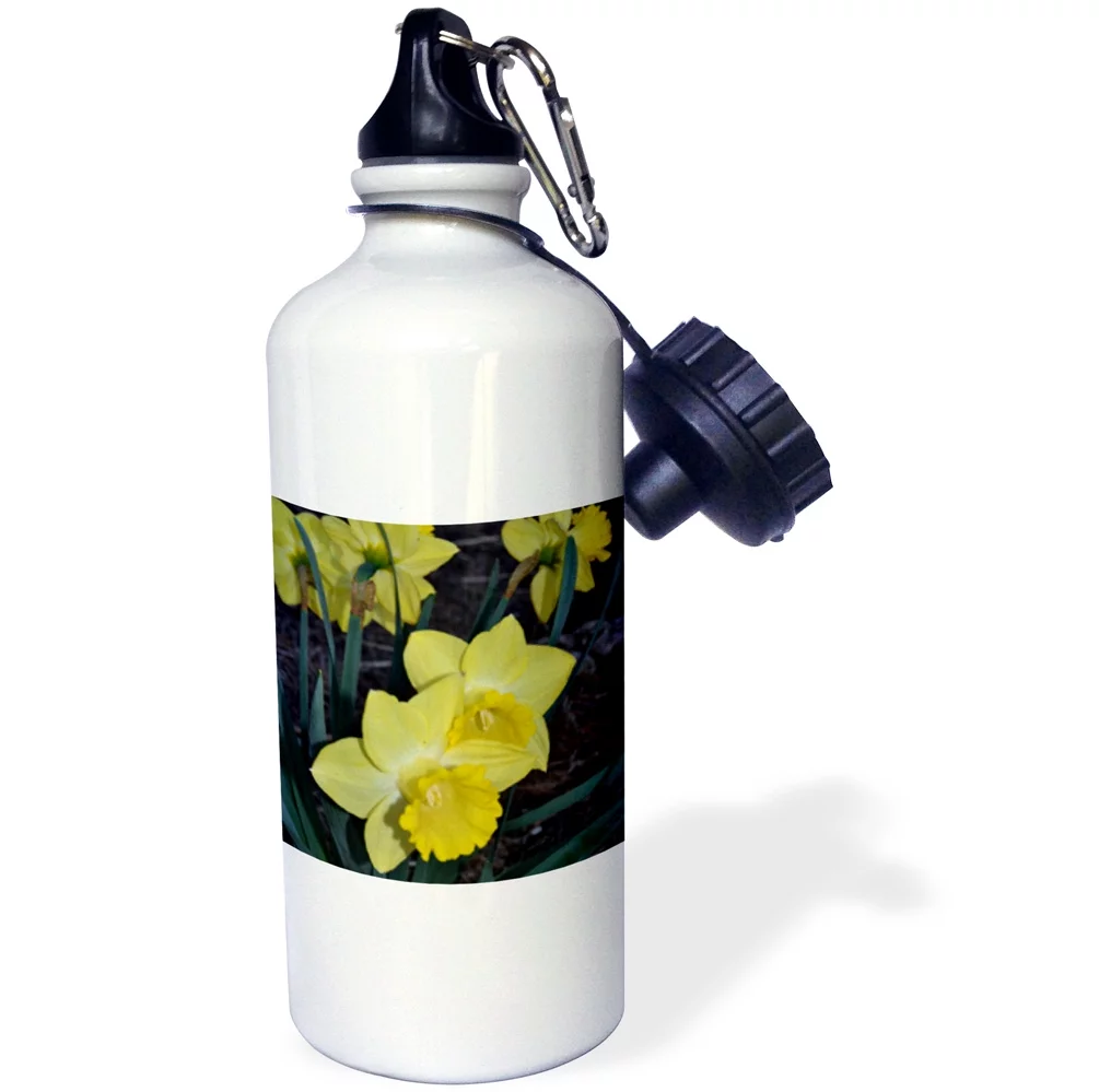 Springtime daffodils 21 oz Sports Water Bottle wb-110144-1