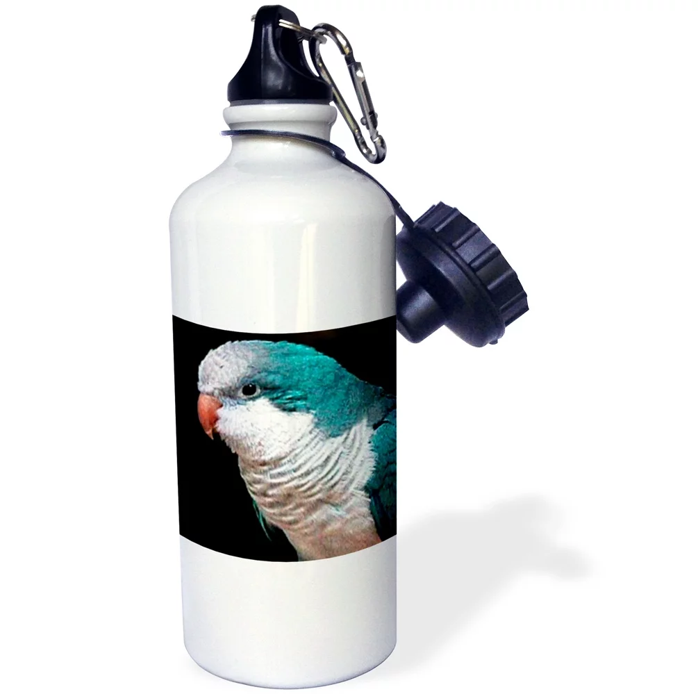 3dRose Blue Quaker, Sports Water Bottle, 21oz