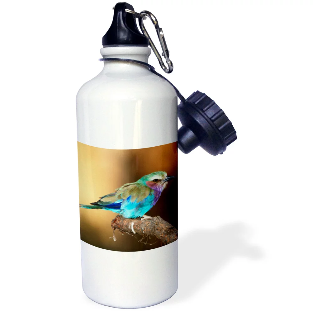 3dRose Kenya, Maasai Mara National Reserve, Lilac-Breasted Roller perching., Sports Water Bottle, 21oz