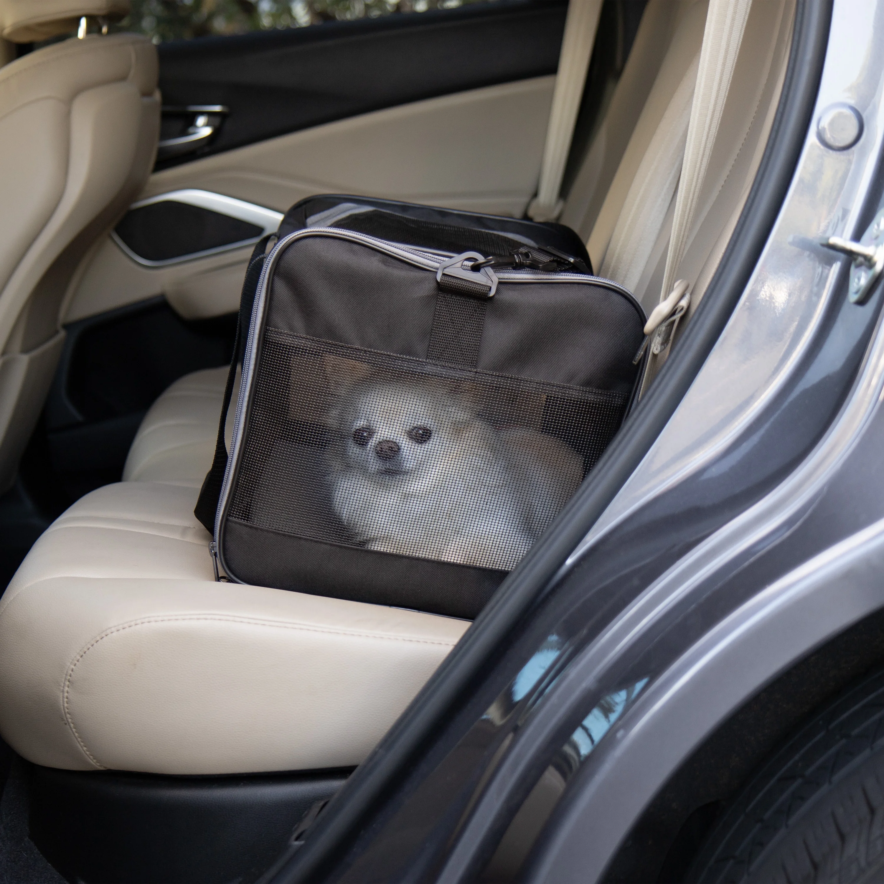 Sherpa Essential Soft Sided Pet Carrier for Cats & Dogs - Black, Large