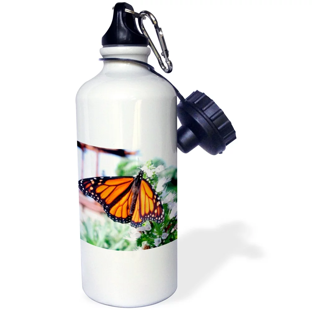 3dRose Monarch Butterfly, Sports Water Bottle, 21oz