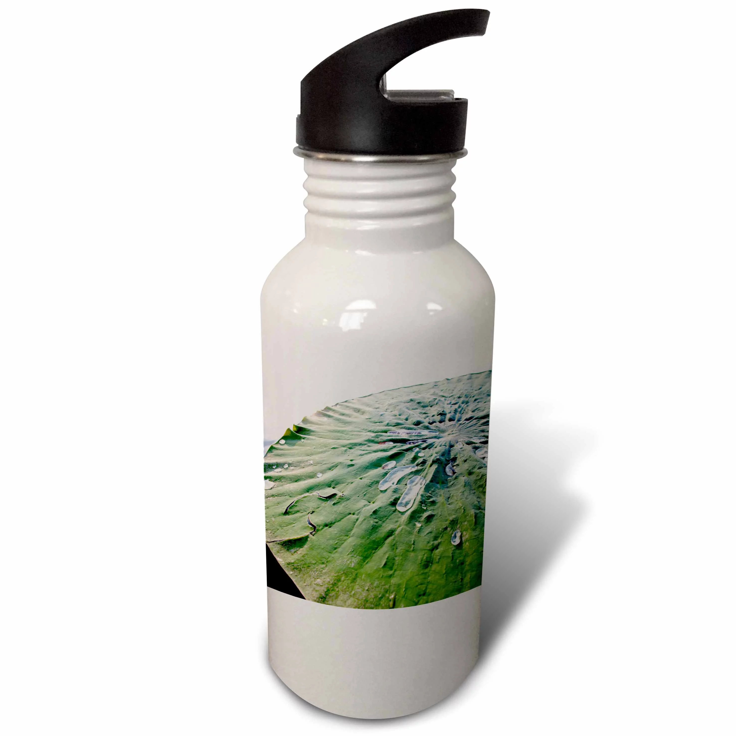 Floating leaf, Lotus flower, Mantua, Italy - NA01 MME0027 - Michele Molinari 21 oz Sports Water Bottle wb-83491-1
