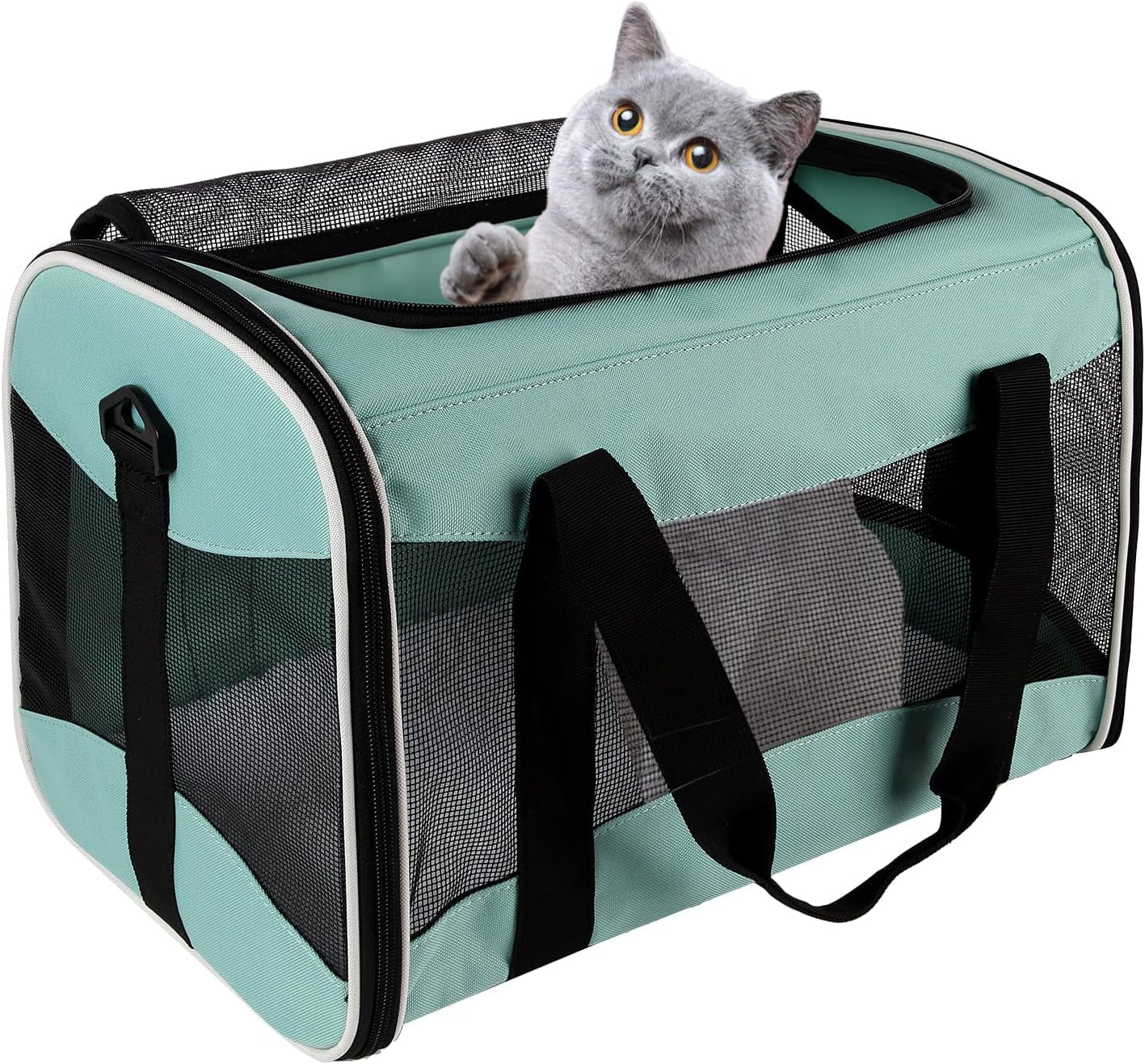 Carrier Airline Approved, Protable and Breathable Pet Travel Carrier Removable Fleece Pad, Collapsible Cat Carrier Dog Carrier for Medium Cats Small Cats Dogs(17x11x11 Green)