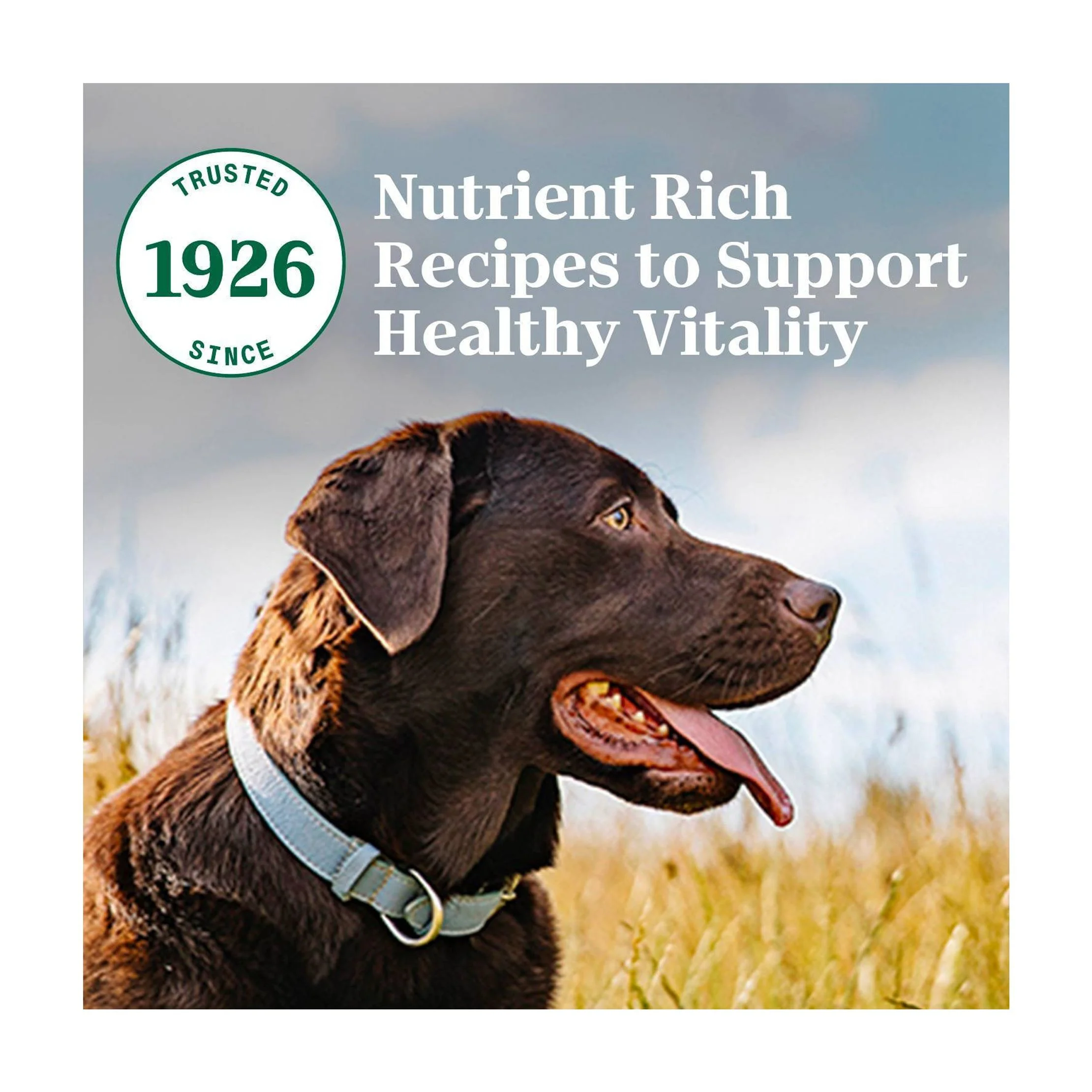 Natural Choice Chicken and Brown Rice Recipe Adult Dry Dog Food - 30lbs