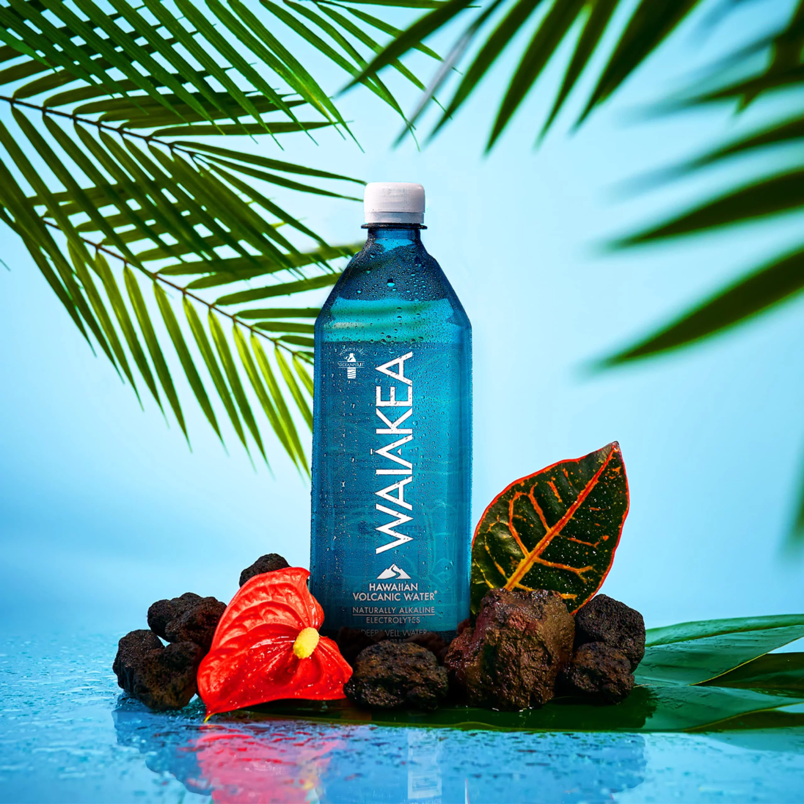 Waiakea Hawaiian Volcanic Water, Naturally Alkaline, 100% Recycled Bottle, 1L (Pack of 12), 33.8 Fl Oz (Pack of 12)