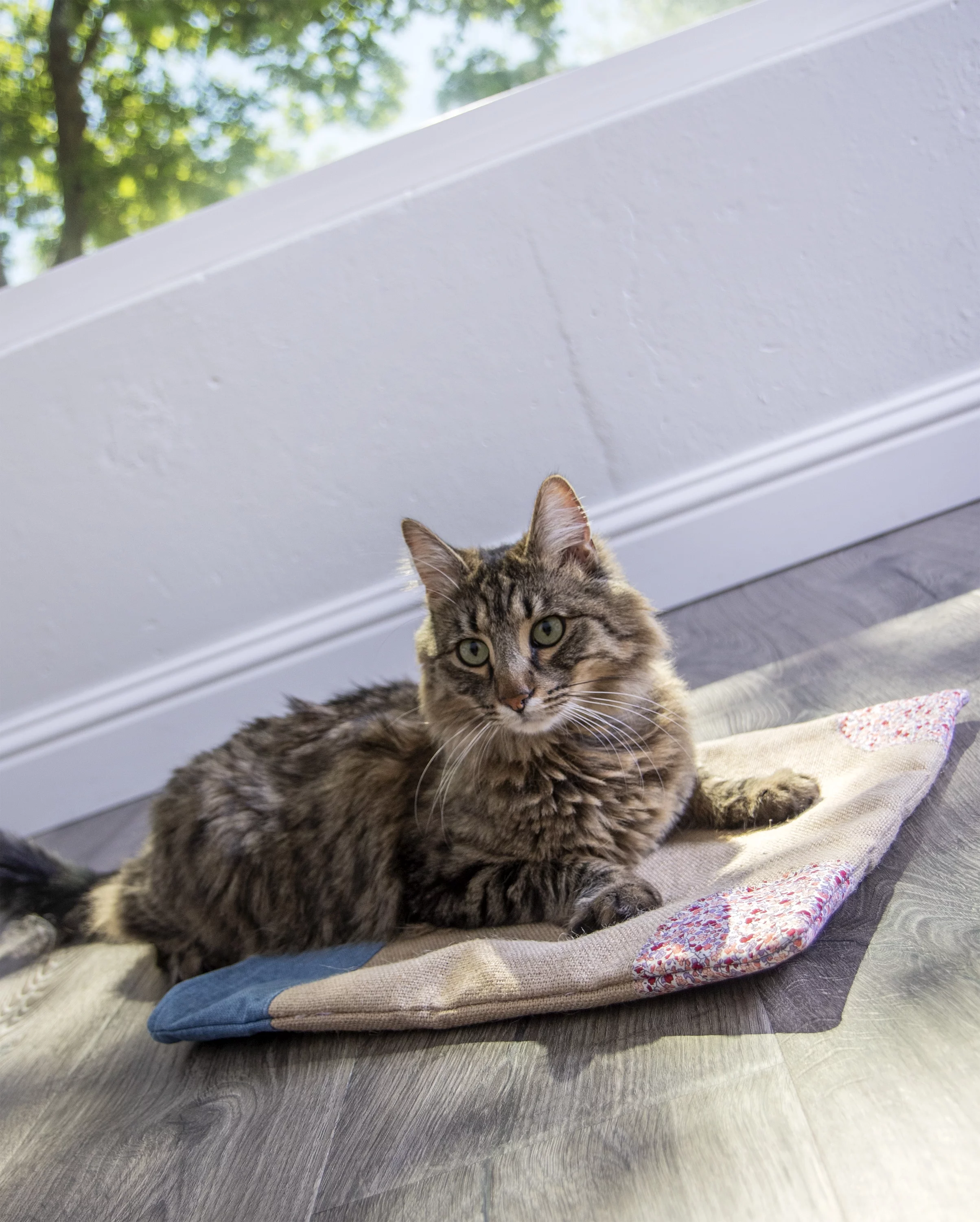 Petlinks Garden Flower Sack Crinkle Hideout Cat Toy