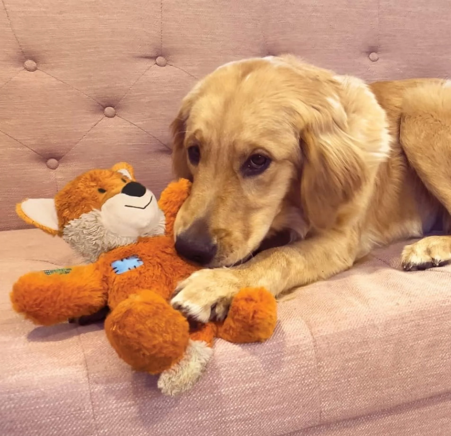 KONG Wild Knots Dog Toy