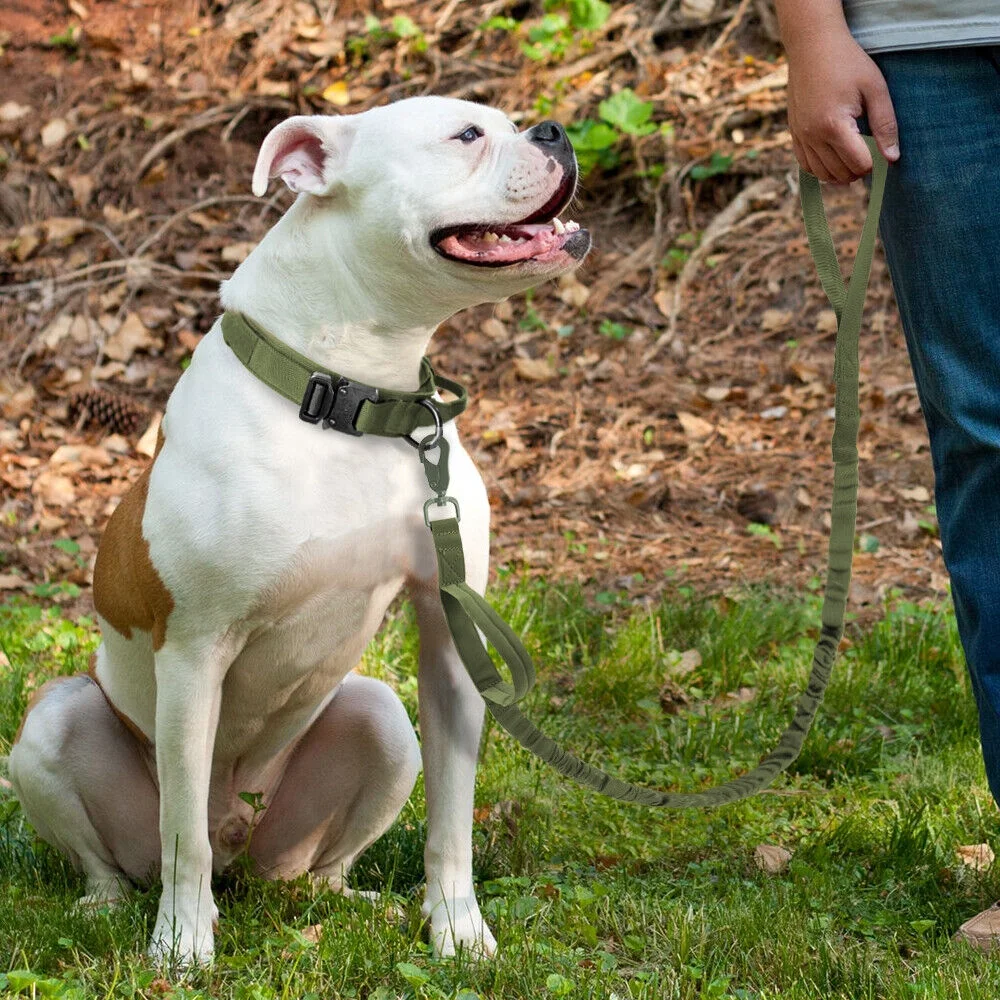 Tactical Dog Leash Elastic Bungee Military Canine Walking Training Lead 2 Handle