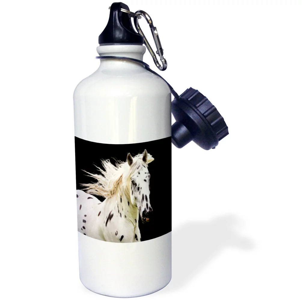 3dRose Beautiful Appaloosa Horse, Sports Water Bottle, 21oz