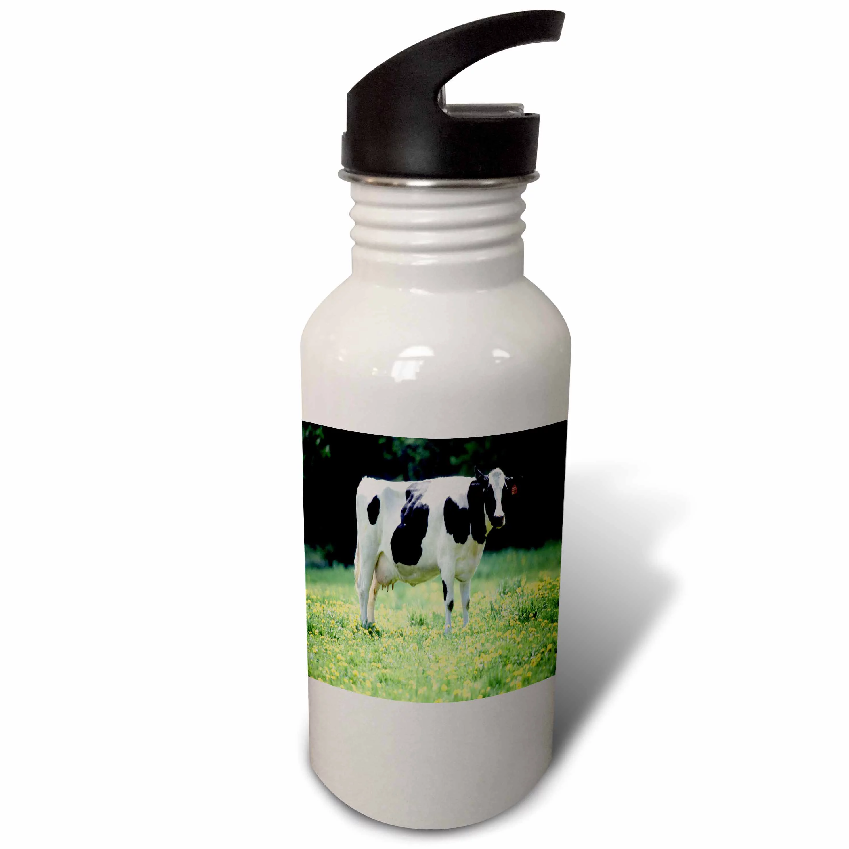 Black n White Cow On Grass 21 oz Sports Water Bottle wb-44882-1