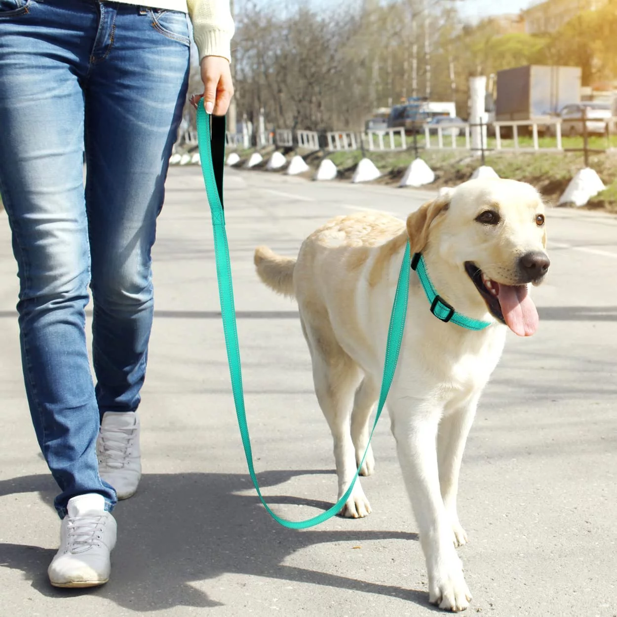 Dog Collars and 5FT Double-Sided Reflective Dogs Leash Set, Nylon Material for Walking and Traning Suit for Medium & Large Dogs, Teal