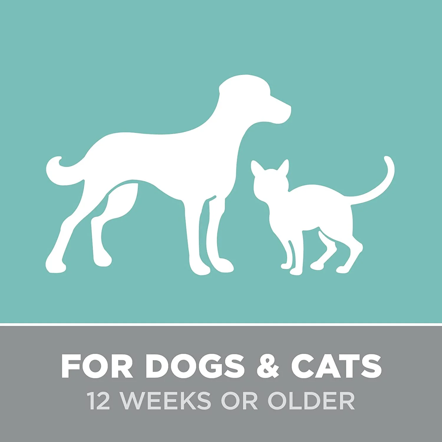 Berry Clean Dog Shampoo Gallon