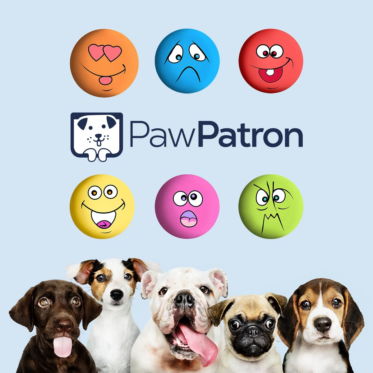 SMALL DOG TOYS SQUEAK LATEX RUBBER FETCH DOG BALLS FOR AGGRESSIVE CHEWERS FOR SMALL MEDIUM AND PUPPY 6 PCS