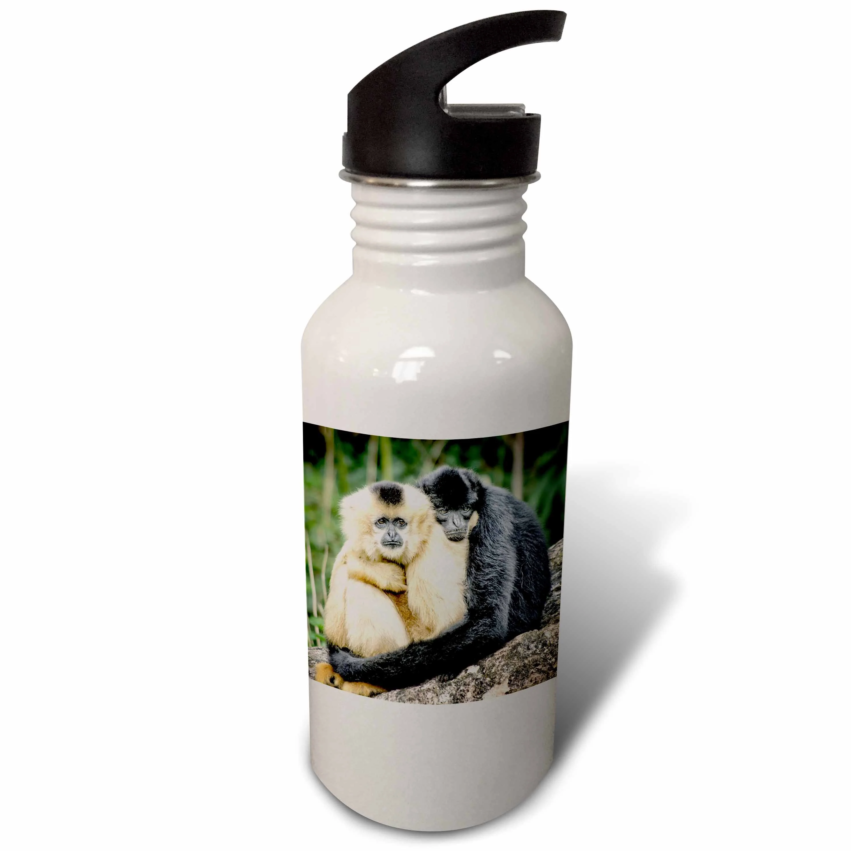 Monkeys hugging. Popular print, image. 21 oz Sports Water Bottle wb-216444-1