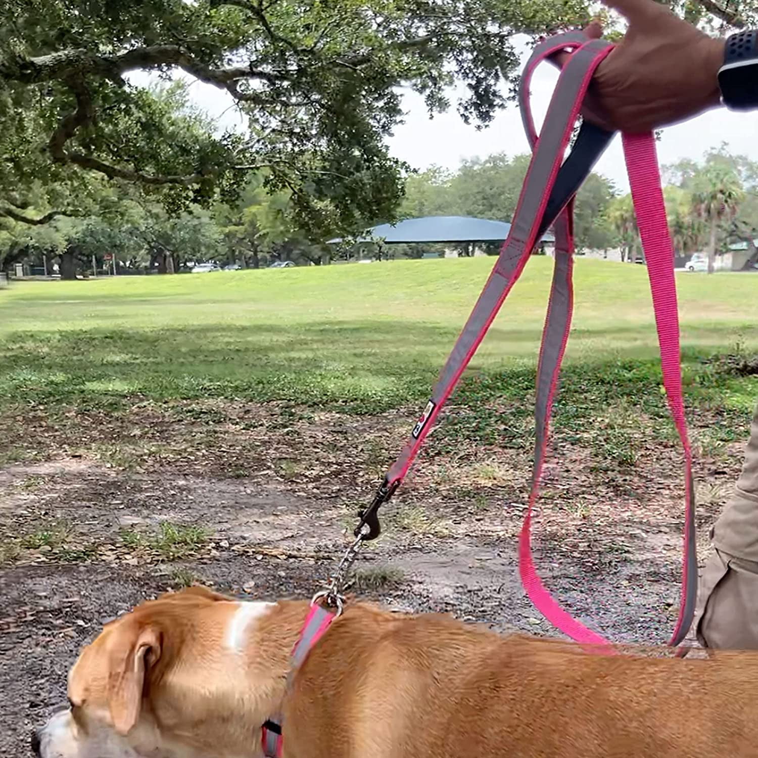 Pawtitas Double Handle Dog Leash Heavy Duty for Training No Pull Leashes Ideal for Medium and Large Dogs | Great for Walking, Running & Training Dog Leash - Medium/Large - Purple