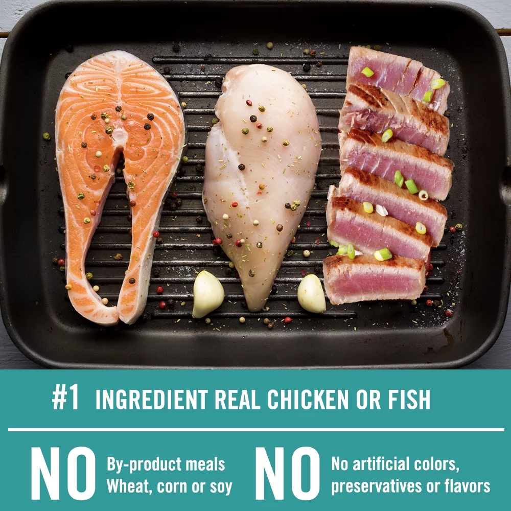 Chicken Soup for the Soul Adult Cat Food - Salmon & Brown Rice Dry Recipe,  13.5lb