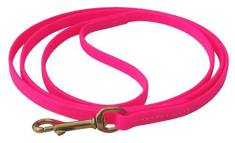 J&J Dog Supplies Biothane Dog Leash, 3/4
