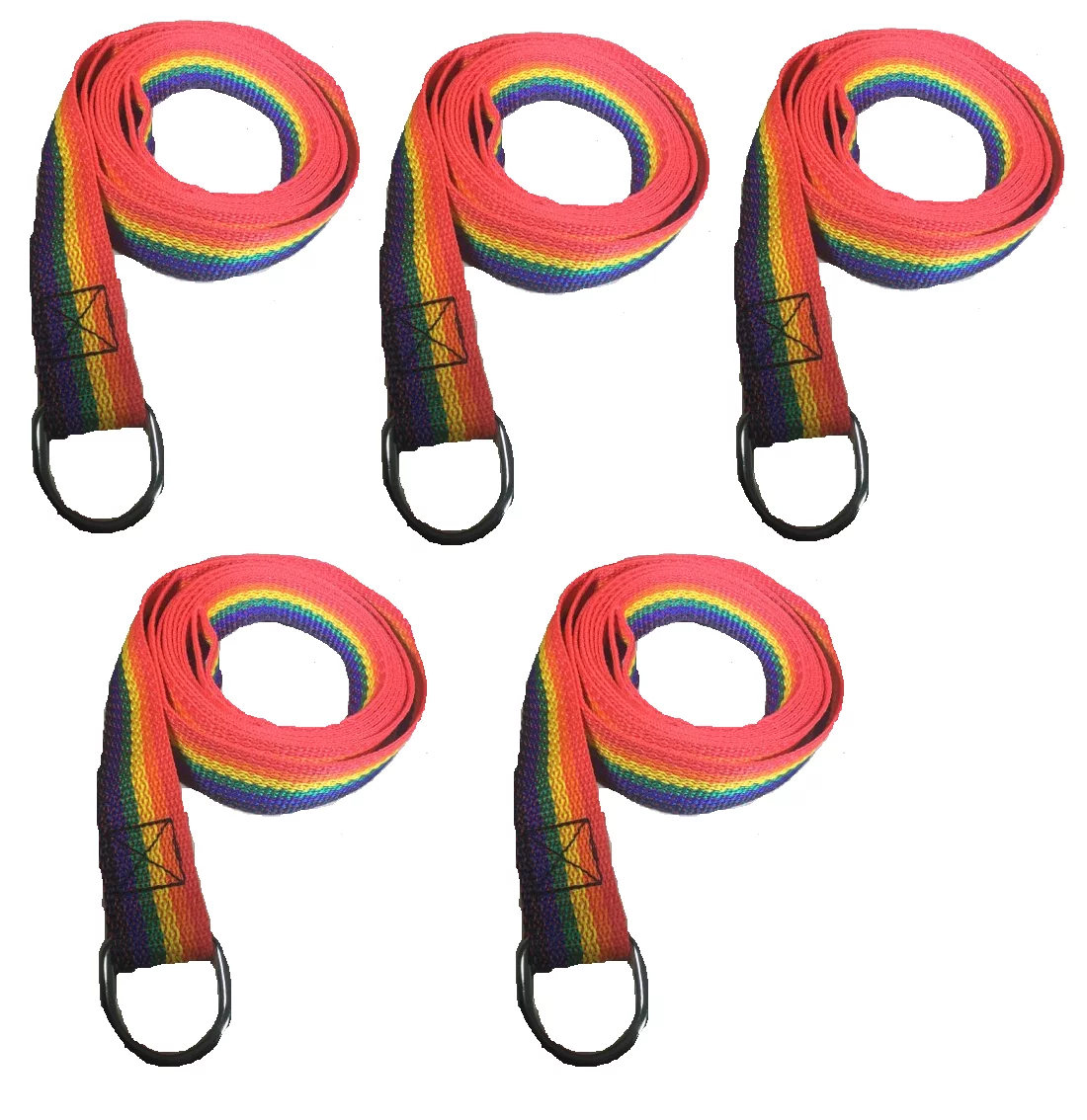 Rainbow Slip Style Dog Leash 6 ft Vet Rescue Shelter Training 5 or 10 Lead Packs (5 Leads)