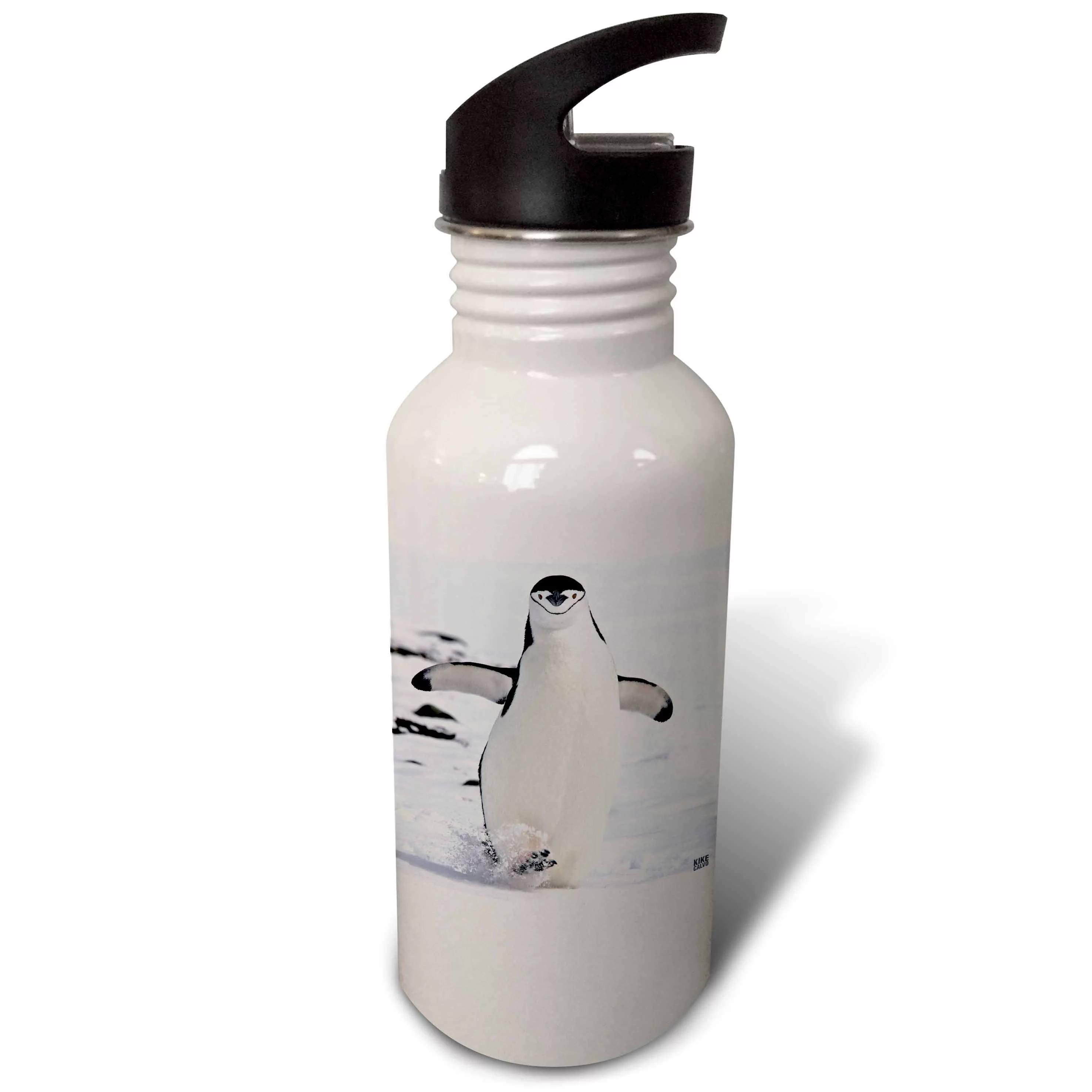 Chinstrap Penguin walks in  Aitcho Islands 21 oz Sports Water Bottle wb-10507-1