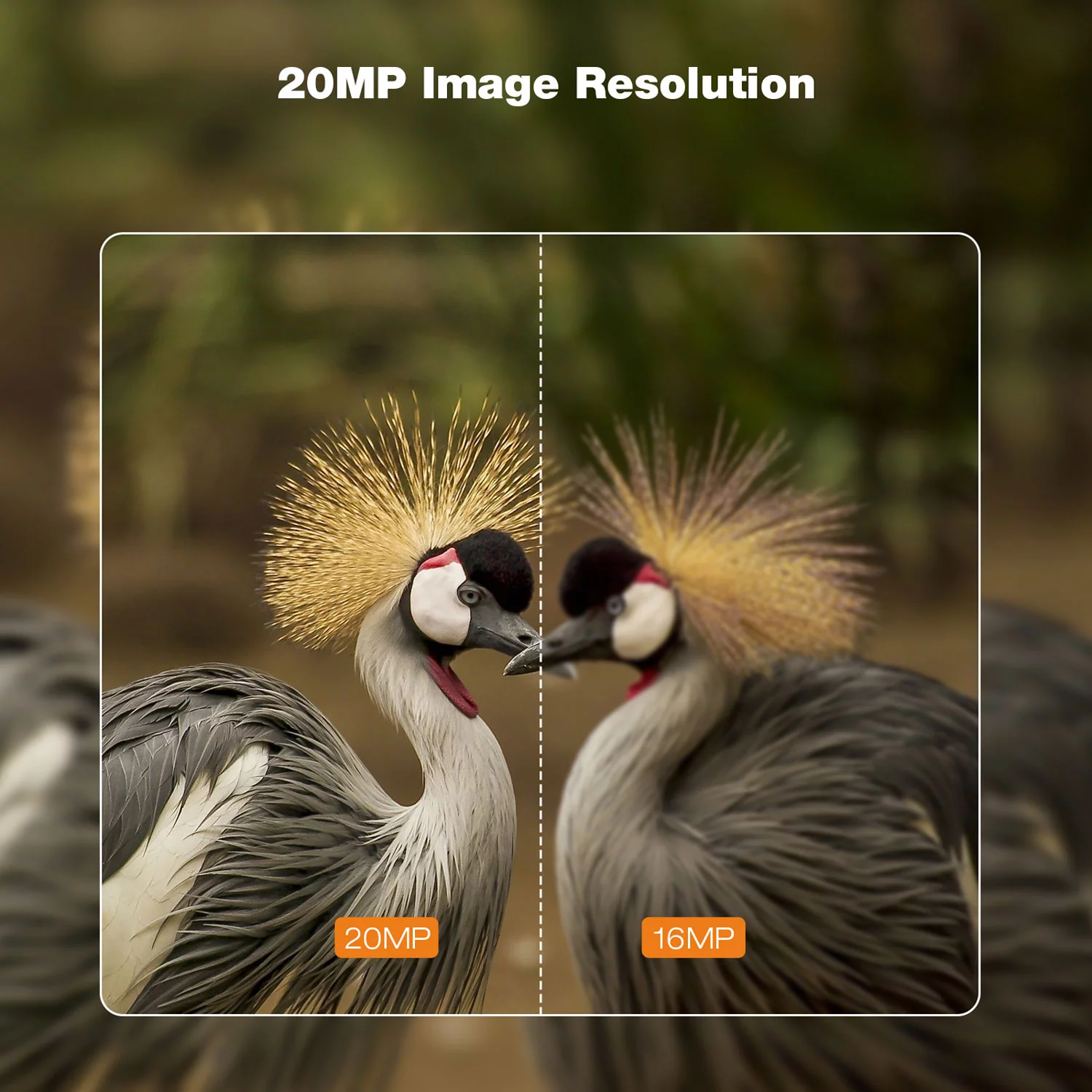 CAMPARK 2 PACK Trail Camera 4K 20MP Hunting Game Camera with infrared Night Vision 44pcs 940nmn 120°Wide-Angle Waterproof 2.4