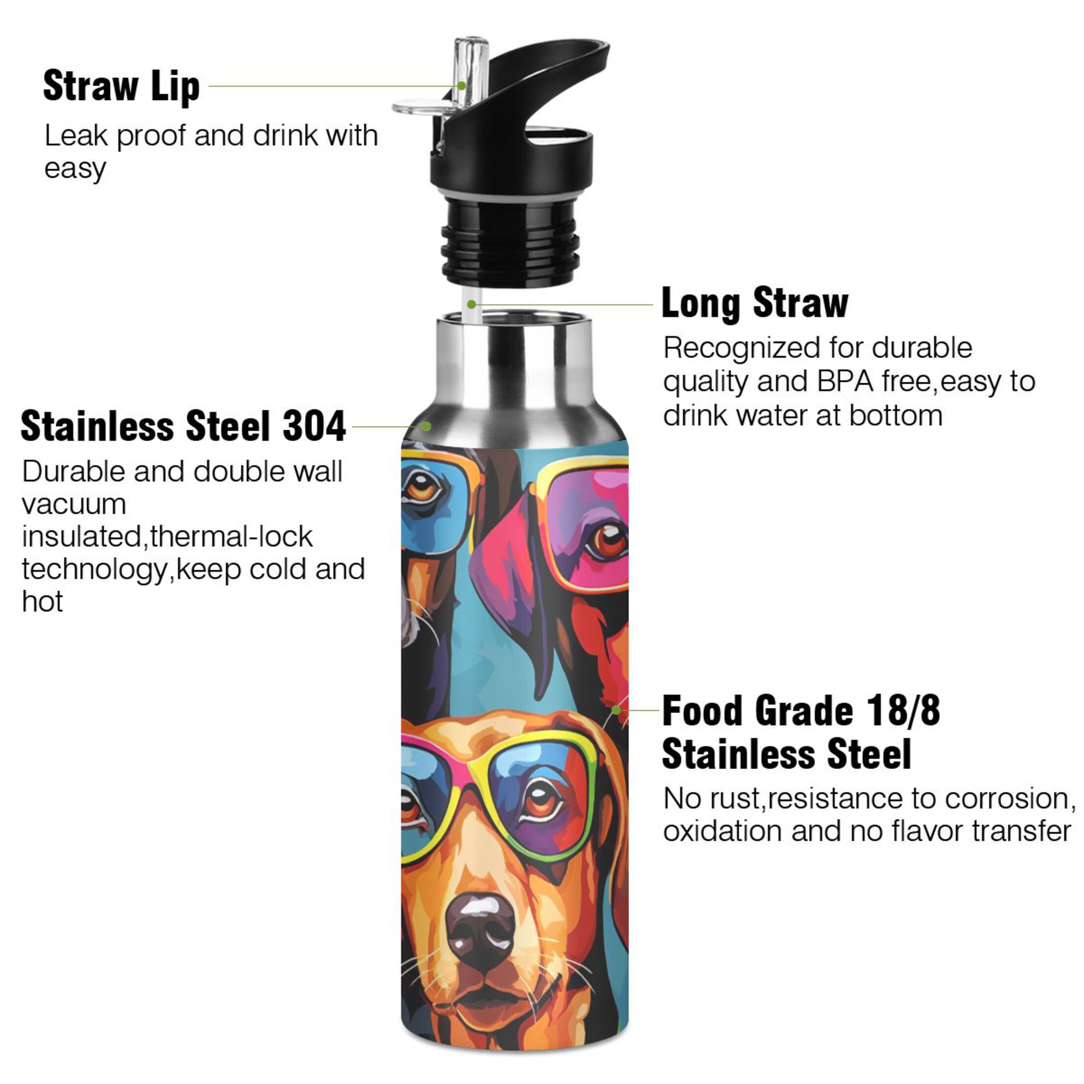 Dogs with Glasses Water Bottles Insulated Thermos Kids Stainless Steel Bottle with Straw Lid Flask Leakproof for Sports Gym 20 oz