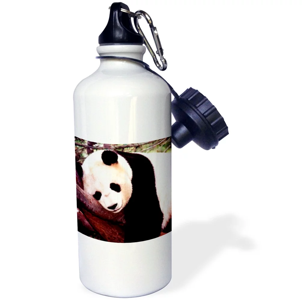 3dRose Panda Bear, Sports Water Bottle, 21oz