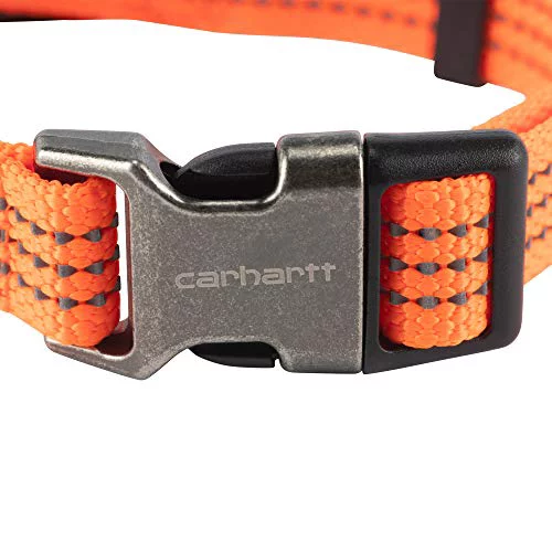Carhartt Dog Collar Hunter Orange/Brushed Nickel Medium