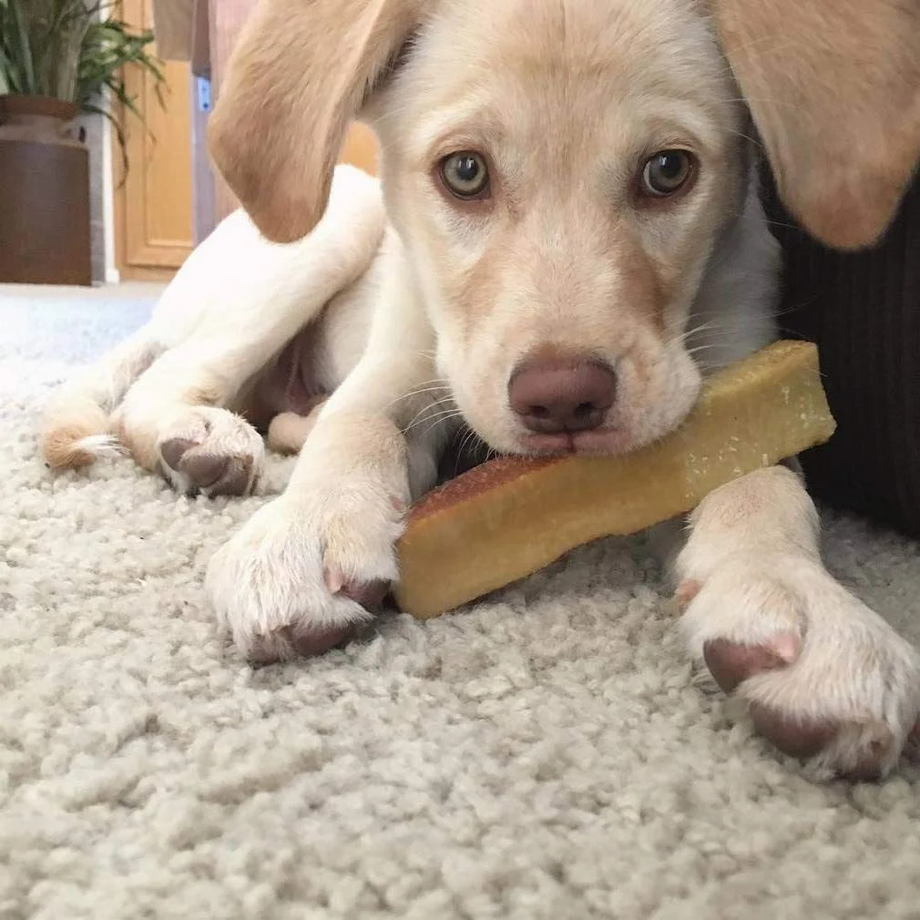 Doggo Dog Chew, Natural Himalayan Yak Cheese Long Lasting Chew, Medium, 3 Pound (18 Pieces)