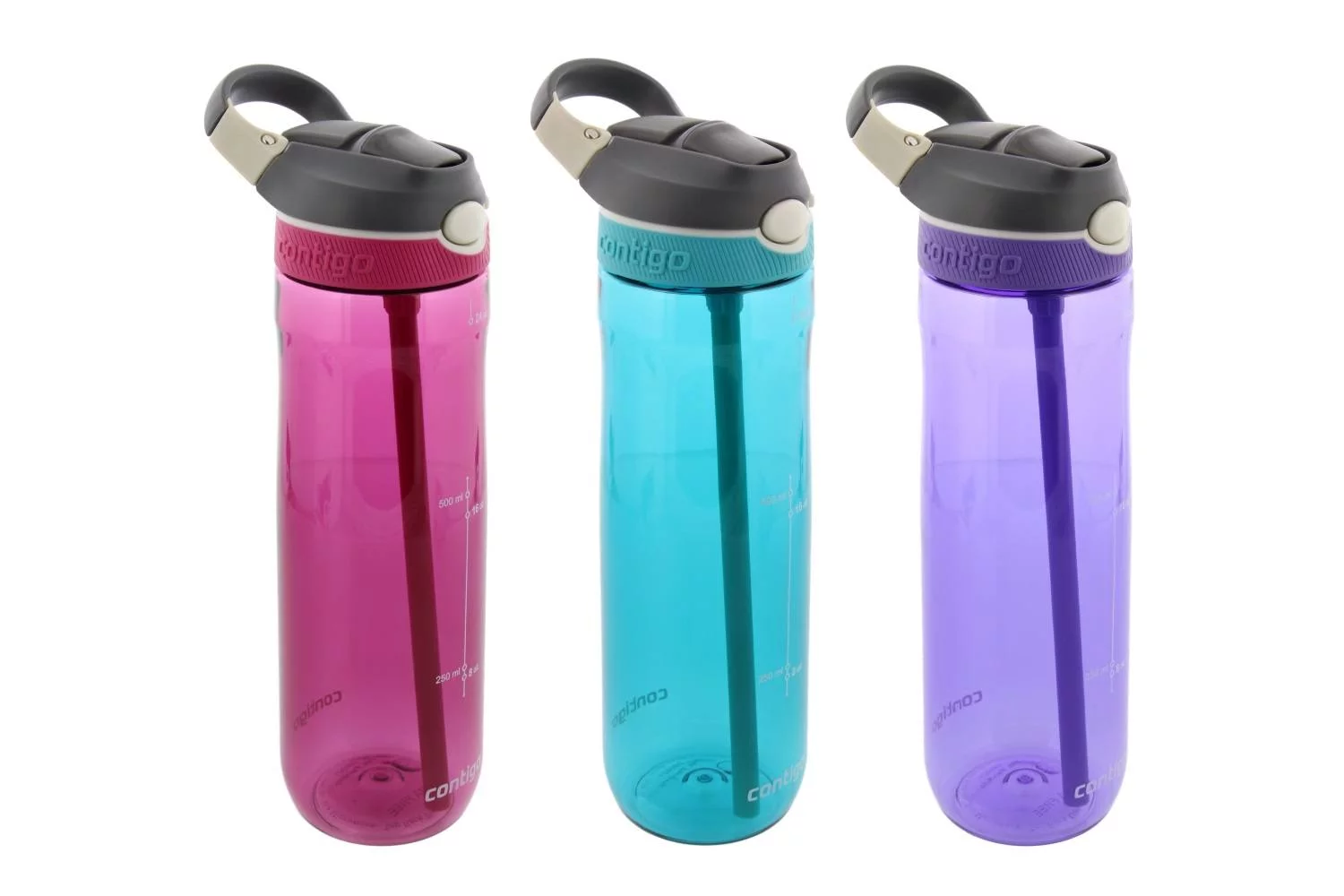 Contigo Autospout Ashland Water Bottle, 24oz - Scuba, Grapevine, Berry (3 Pack)