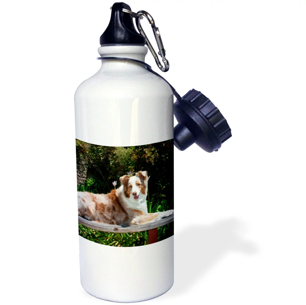 3dRose Australian Shepherd dog - US05 ZMU0027 - Zandria Muench Beraldo - Straw Water Bottle, 21-ounce