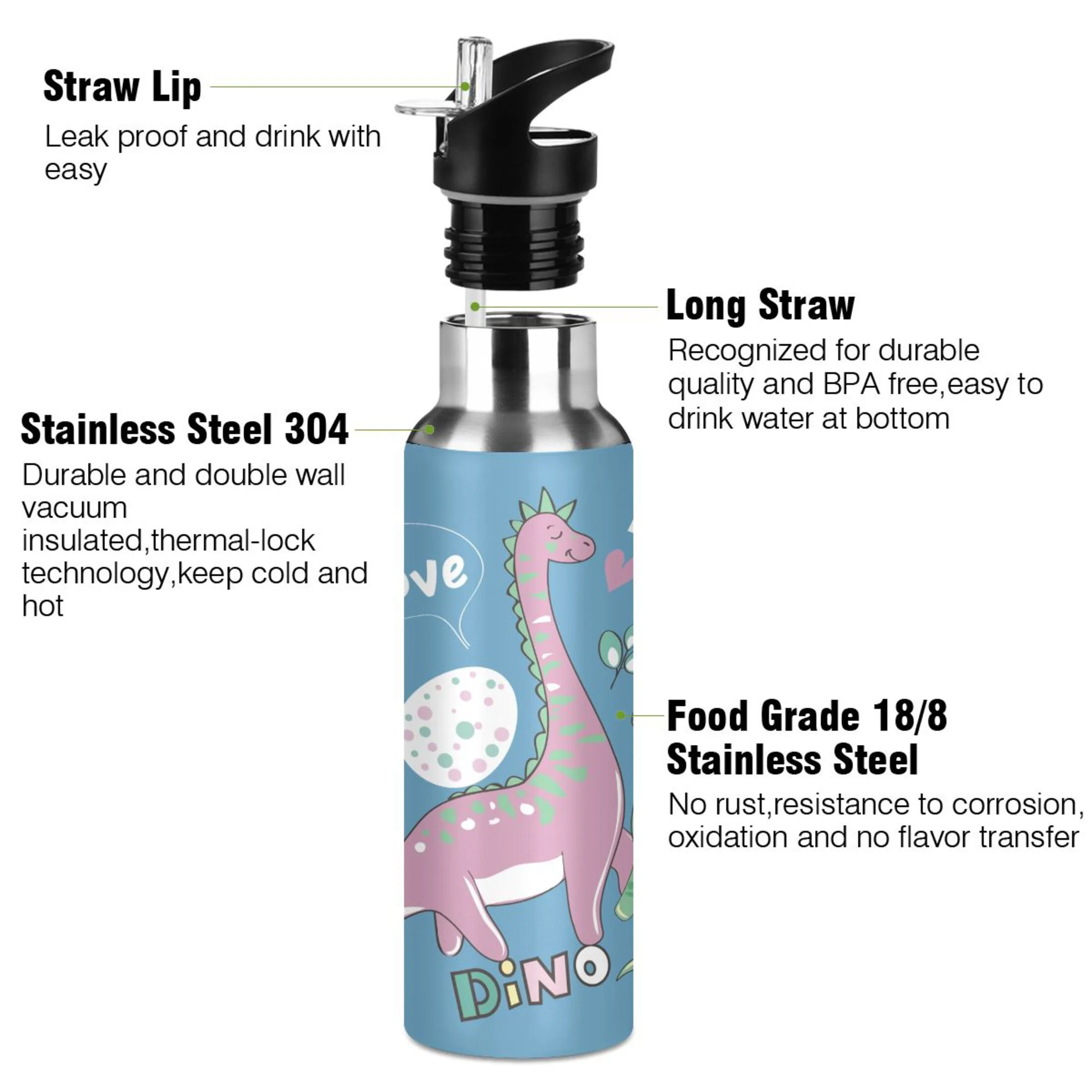 Stainless Steel Water Bottle Cute Dinosaurs with Straw Lid Vacuum Insulated Keeps Hot and Cold Leak Proof Flask Jug for Gym Travel Sports Cycling Outdoor 20 OZ
