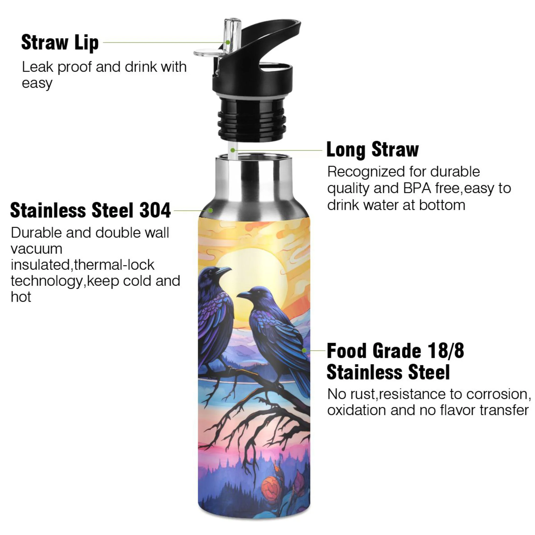 Birds on Tree Water Bottles Insulated Thermos Kids Stainless Steel Bottle with Straw Lid Flask Leakproof for Sports Gym 20 oz