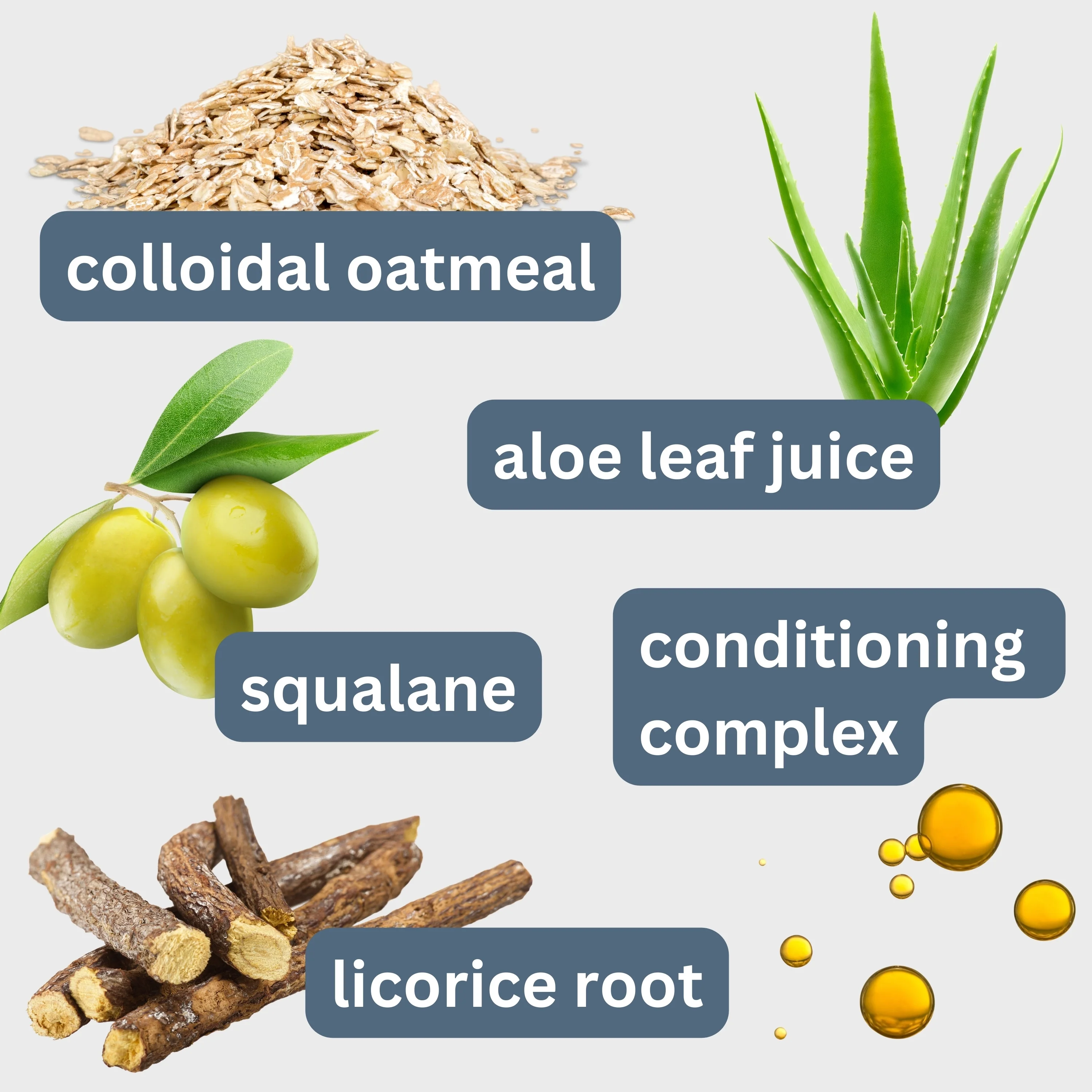 Clean Coats Fragrance Free Pet Shampoo