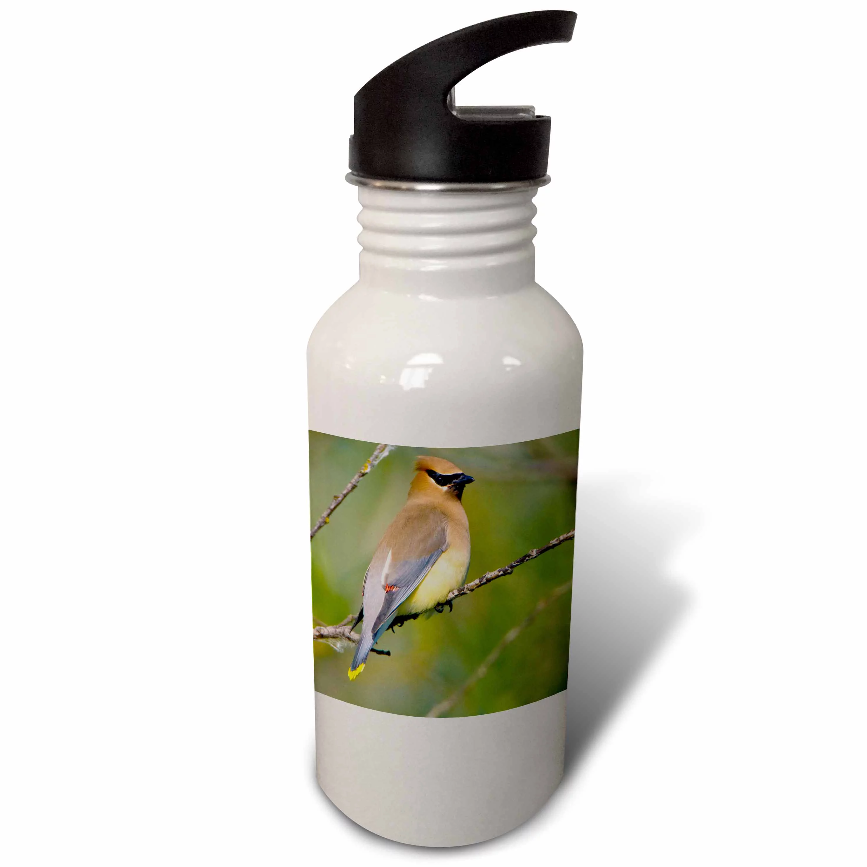 Washington, Lake Sammamish, Cedar Waxwing bird - US48 GLU0129 - Gary Luhm 21 oz Sports Water Bottle wb-95658-1