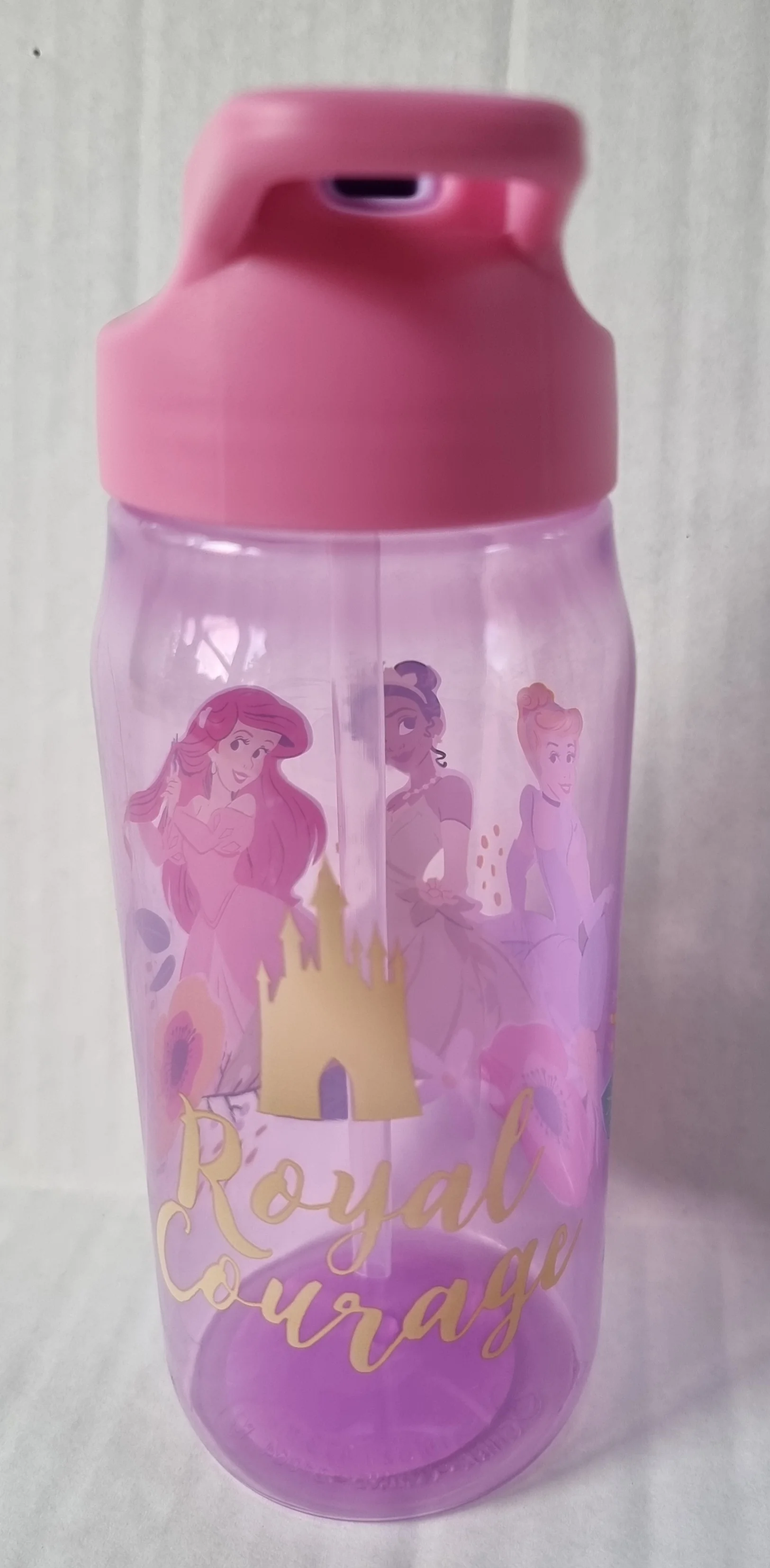 SBL Disney Princess Characters Sip Bottle, 16 oz. With Bonus 6 Pack Sugar Free Drink Mix
