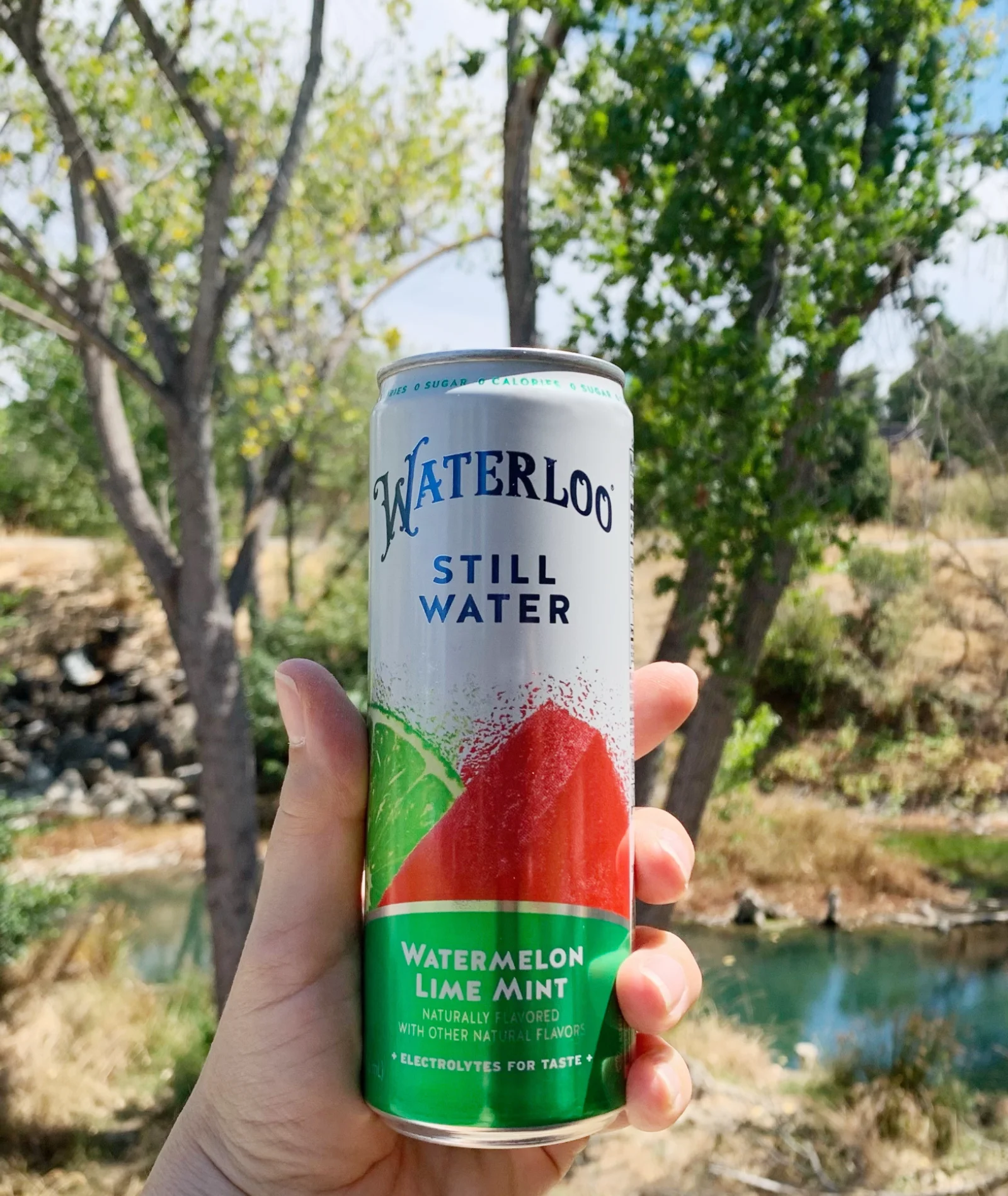 Waterloo Still Water, Watermelon Lime Mint, 12 fl oz, 24 Pack Cans
